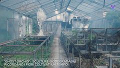 Fuori Salone, Alcova e la metamorfosi del design