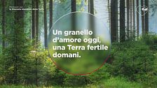 Un granello d'amore oggi, una Terra fertile domani