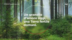 Un granello d'amore oggi, una Terra fertile domani