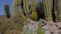 Festival di Cannes, itinerari di charme in Costa Azzurra