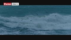 Wadden sea - Un mare da brividi