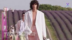 Profumo di lavanda: in viaggio tra i campi viola della Provenza e d'Italia