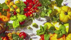 Cinque fragranze ispirate all'orto, perfette per l'estate