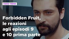 Forbidden Fruit, il riassunto e le reazioni agli episodi 9 e 10 prima parte