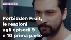 Forbidden Fruit, il riassunto e le reazioni agli episodi 9 e 10 prima parte