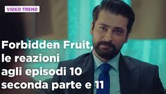 Forbidden Fruit, il riassunto e le reazioni agli episodi 10 seconda parte - 11