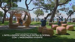 La Biennale di Architettura 2025 tra natura, tecnologia e adattamento
