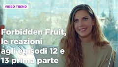 Forbidden Fruit, il riassunto e le reazioni agli episodi 12-13 prima parte