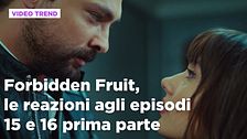 Forbidden Fruit, il riassunto e le reazioni agli episodi 15-16 prima parte