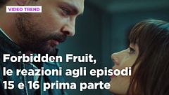 Forbidden Fruit, il riassunto e le reazioni agli episodi 15-16 prima parte