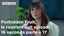 Forbidden Fruit, il riassunto e le reazioni agli episodi 16 seconda parte - 17