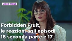 Forbidden Fruit, il riassunto e le reazioni agli episodi 16 seconda parte - 17