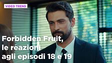 Forbidden Fruit, il riassunto e le reazioni agli episodi 18 e 19