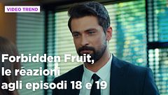 Forbidden Fruit, il riassunto e le reazioni agli episodi 18 e 19