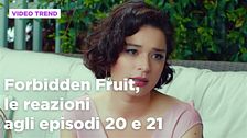 Forbidden Fruit, il riassunto e le reazioni agli episodi 20-21