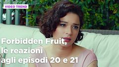 Forbidden Fruit, il riassunto e le reazioni agli episodi 20-21