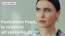 Forbidden Fruit, il riassunto e le reazioni all'episodio 22