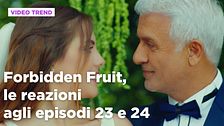 Forbidden Fruit, il riassunto e le reazioni all'episodio 23 e 24