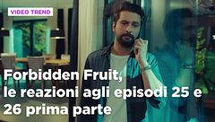 Forbidden Fruit, il riassunto e le reazioni all'episodio 25 e 26 prima parte