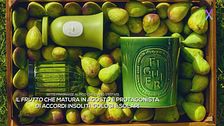 Sette fragranze al fico che sanno d'estate