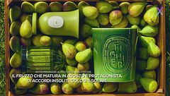 Sette fragranze al fico che sanno d'estate