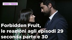 Forbidden Fruit, il riassunto e le reazioni all'episodio 29 seconda parte e 30