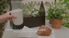 Perché il giardinaggio fa bene anche alla mente