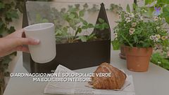 Perché il giardinaggio fa bene anche alla mente