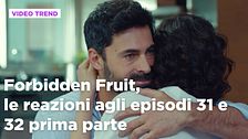 Forbidden Fruit, il riassunto e le reazioni all'episodio 31 e 32 prima parte