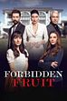 Forbidden Fruit, il riassunto e le reazioni all'episodio 32 seconda parte e 33