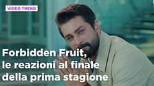 Forbidden Fruit, il riassunto e le reazioni all'episodio 35