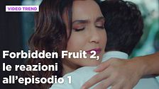 Forbidden Fruit 2, il riassunto e le reazioni all'episodio 1