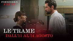 Le trame dall'11 al 14 agosto