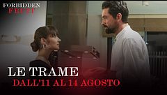 Le trame dall'11 al 14 agosto