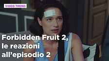 Forbidden Fruit 2, il riassunto e le reazioni all'episodio 2