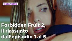 Forbidden Fruit 2, il riassunto degli episodi 1-5