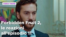 Forbidden Fruit 2, il riassunto e le reazioni all'episodio 11