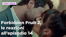 Forbidden Fruit 2, il riassunto e le reazioni all'episodio 14