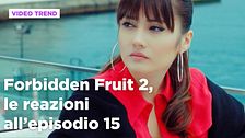 Forbidden Fruit 2, il riassunto e le reazioni all'episodio 15