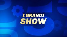 I grandi show di Canale 5