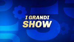 I grandi show di Canale 5
