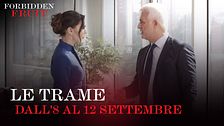 Le trame dall'8 al 12 settembre