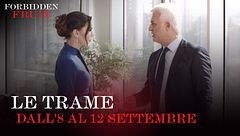 Le trame dall'8 al 12 settembre