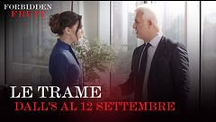 Le trame dall'8 al 12 settembre