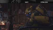 Bumblebee