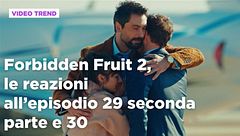 Forbidden Fruit 2, il riassunto e le reazioni agli episodi 29 - 30