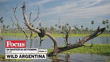 Wild Argentina