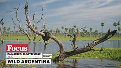 Wild Argentina
