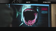 Shark - Il primo squalo