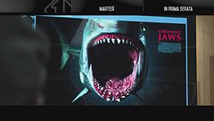 Shark - Il primo squalo